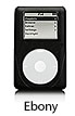 iSkin eVo2 Ebony iPod case